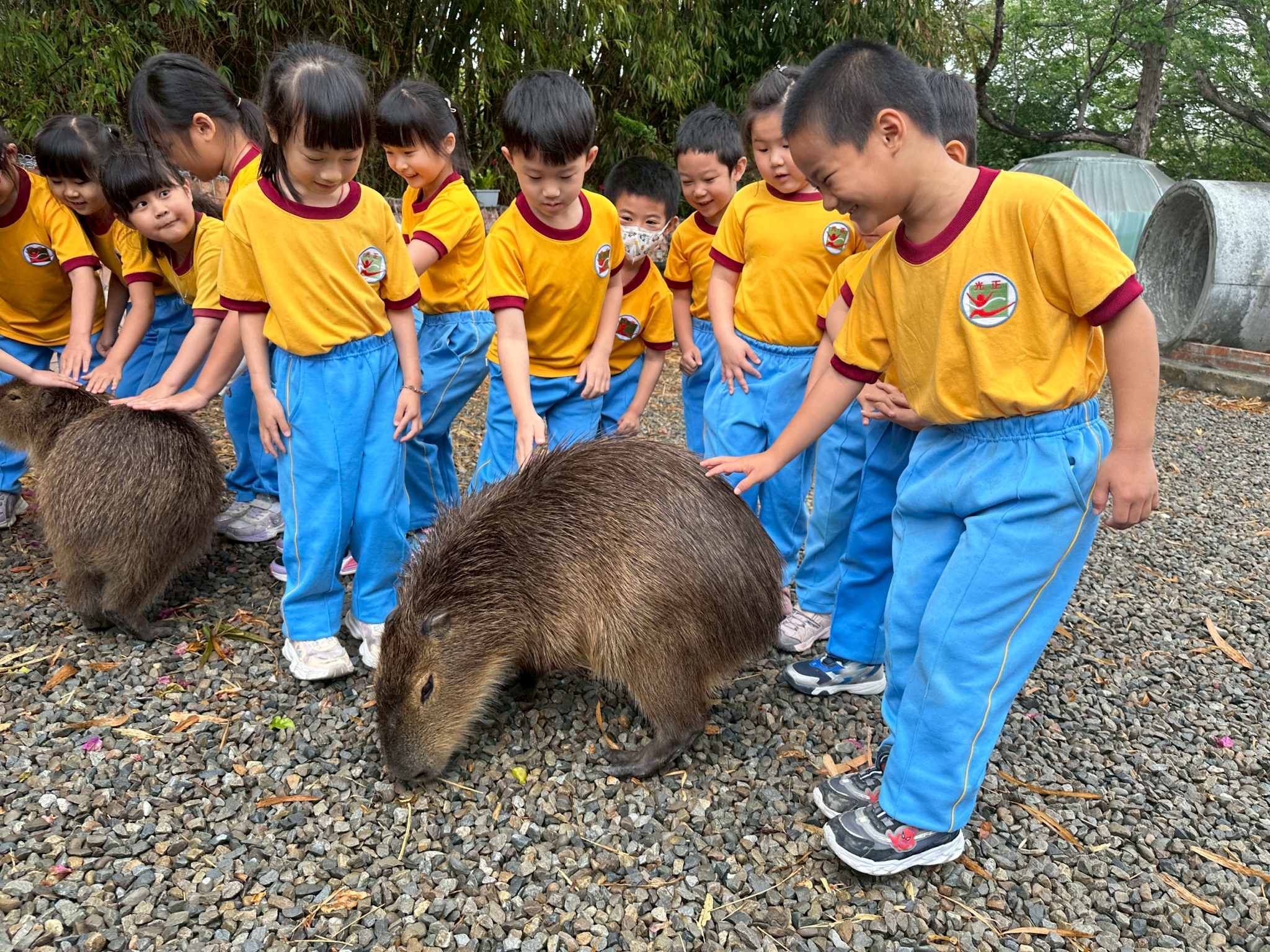 幼兒園戶外教育合照